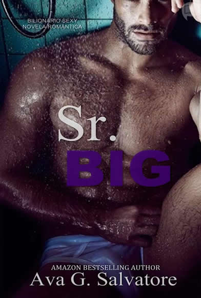 Ler Sr. Big em PDF ou Epub